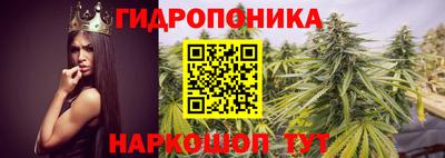 амфетамин Сланцы
