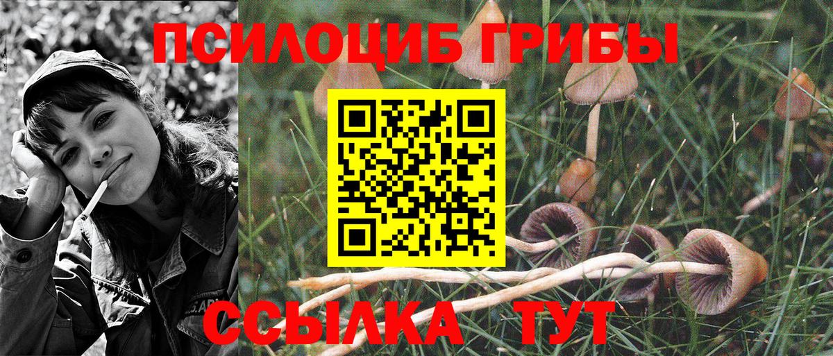 Галлюциногенные грибы мухоморы Октябрьский