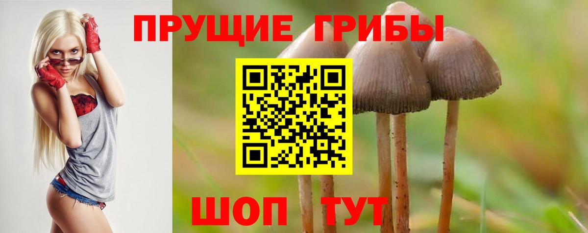 Галлюциногенные грибы ЛСД  Вход с VPN  Октябрьский 